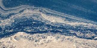 Illeciti a mare, alla Campania ennesima maglia nera