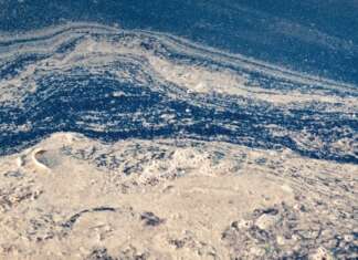 Illeciti a mare, alla Campania ennesima maglia nera