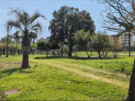 Lavori Parco “Ciro Esposito” Scampia, il ‘progetto tradito’ in commissione: “Fare chiarezza” Parco Scampia Ciro Esposito