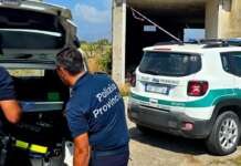 Discariche abusive di amianto tra i terreni agricoli: sequestrate due aree