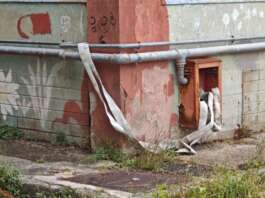 Scuola Neghelli in stato di abbandono: la denuncia dei genitori