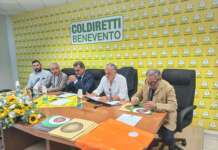 Campionato di Tiro con l’Arco: oltre 400 arcieri si sfideranno nel Sannio