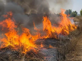 Raggiunto dalle fiamme mentre brucia sterpaglie, 42enne grave