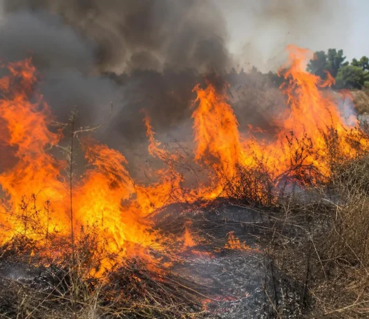 Raggiunto dalle fiamme mentre brucia sterpaglie, 42enne grave