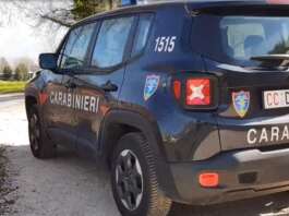 Reati ambientali, raffica di controlli: quattro persone nei guai