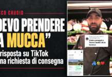 “Per venire da te devo prendere la mucca”: su TikTok il Sannio diventa una caricatura