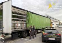 Sequestrati nel Napoletano trentamila litri di benzina di contrabbando Benzina di contrabbando, sequestro Guardia di Finanza