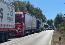 Protesta tir: nel Salernitano insalata gratis, ‘non la vendiamo’