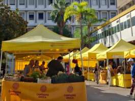 Salerno, Campagna Amica per la Salute al Ruggi: successo per l’ortofrutta a chilometro zero