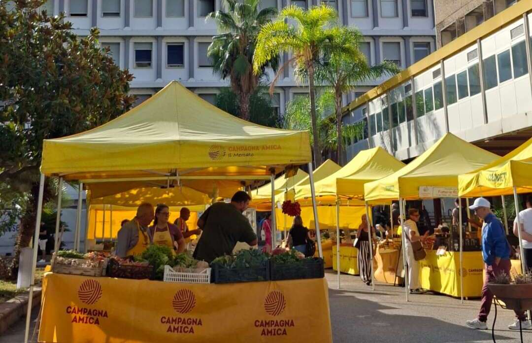 salerno campagna amica per la salute al ruggi successo per l8217ortofrutta a chilometro zero da Anteprima24.it salerno campagna amica per la salute al ruggi successo per l8217ortofrutta a chilometro zero
