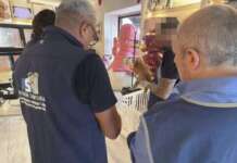 Cuccioli malati e documenti falsi, blitz a Napoli. L’esperto Troiano: “Un business da fabbrica degli orrori” blitz cuccioli napoli