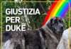 Un colpo di pistola spezza la vita di Duke, la protesta arriva in piazza