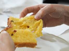 Mastro Panettone d’Élite 2026, sette artigiani campani in finale Panettone