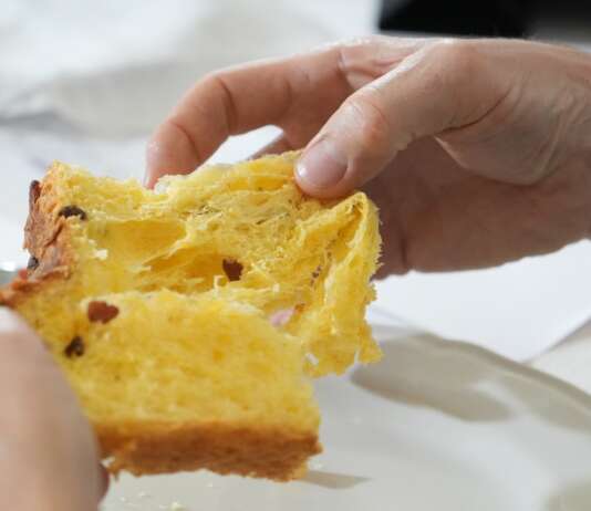 Mastro Panettone d’Élite 2026, sette artigiani campani in finale Panettone