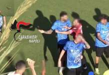 Arbitro colpito da un mattone durante la partita: 12 denunciati Arbitro colpito con una pietra a Lacco Ameno