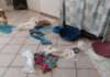 Vivono con 41 cani tra casa e giardino: i familiari lanciano l’allarme, scattano i sequestri