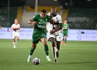 Avellino-Padova, la partita comincia dalle scelte Walid Cheddira