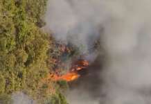 Vasto incendio sul Monte Pergola a Solofra: fiamme sopra la galleria