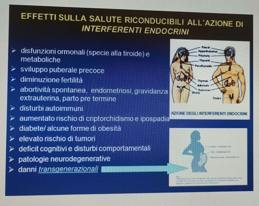 Slide fiume Sarno metalli pesanti