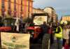 VIDEO/ FOTO “Ora è allarme carovita”, si torna a scendere in piazza
