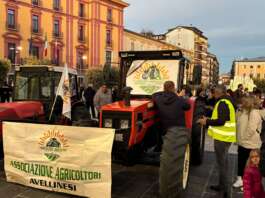 VIDEO/ FOTO “Ora è allarme carovita”, si torna a scendere in piazza