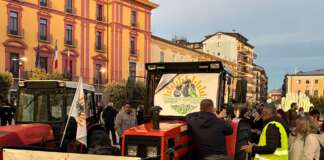 VIDEO/ FOTO “Ora è allarme carovita”, si torna a scendere in piazza