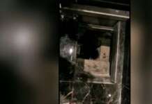 Catturato il rampollo dei Gionta: si nascondeva in un vano segreto azionato da un pulsante nel bagno