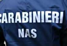 Un garage pieno di anabolizzanti e droga pronti per la spedizione: l’inchiesta su due famiglie