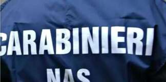 Un garage pieno di anabolizzanti e droga pronti per la spedizione: l’inchiesta su due famiglie