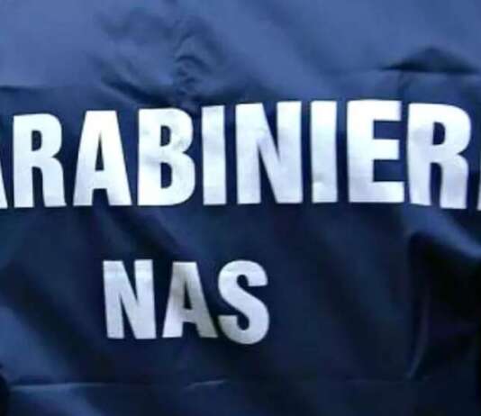 Un garage pieno di anabolizzanti e droga pronti per la spedizione: l’inchiesta su due famiglie