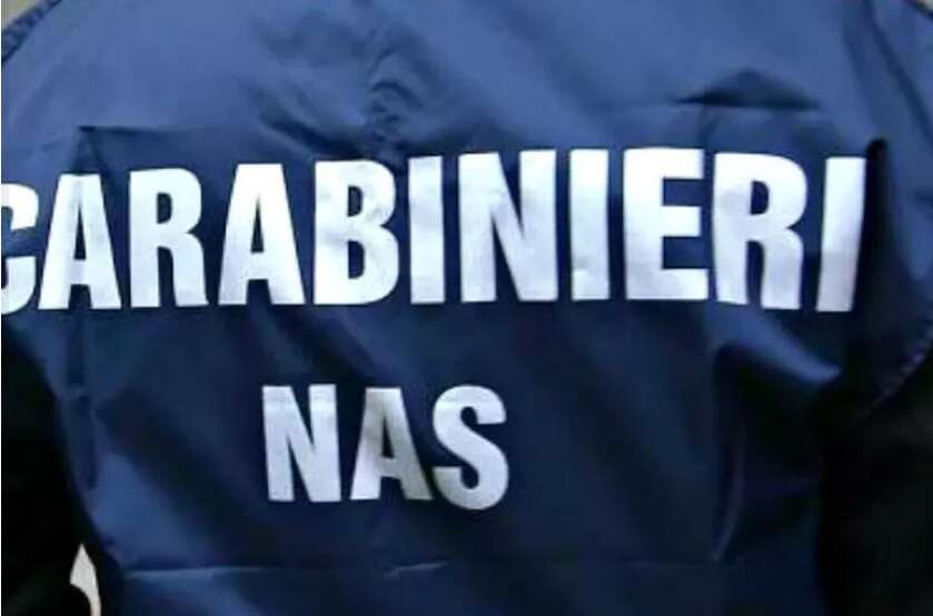 un garage pieno di anabolizzanti e droga pronti per la spedizione l8217inchiesta su due famiglie da Anteprima24.it un garage pieno di anabolizzanti e droga pronti per la spedizione l8217inchiesta su due famiglie