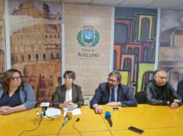 Nuovo Stadio e Curva Nord: è ancora tutto un’ipotesi