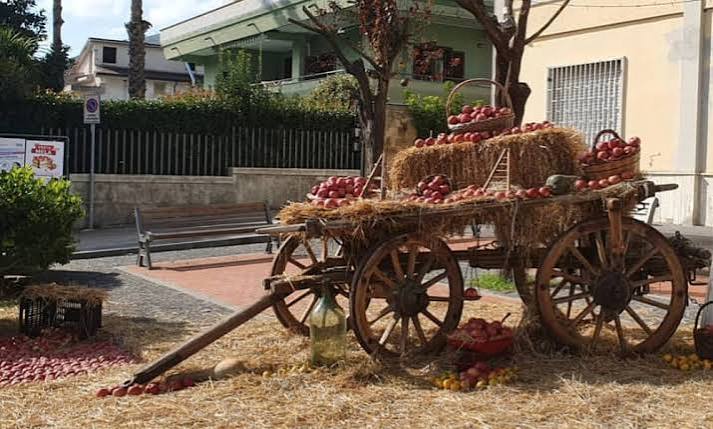 valle di maddaloni torna la storica festa della mela annurca da Anteprima24.it valle di maddaloni torna la storica festa della mela annurca