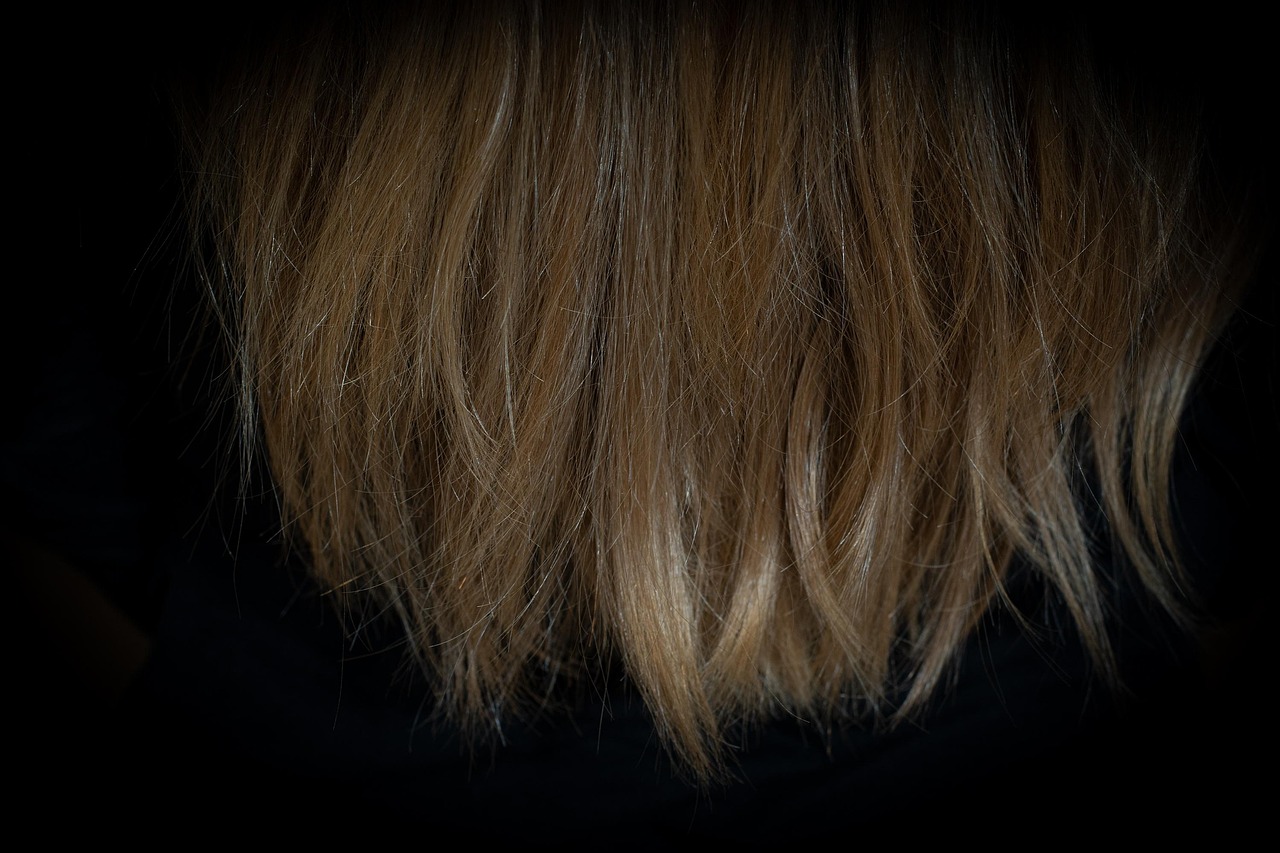 capelli danneggiati in autunno come prepararli all8217inverno da Anteprima24.it capelli danneggiati in autunno come prepararli all8217inverno