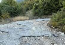 Strada Pianello–Valle Silvana–Cardaccio: raccolta delle castagne in difficoltà.